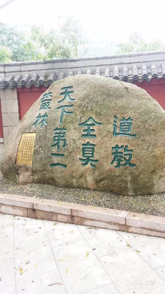 大学生青岛3日行