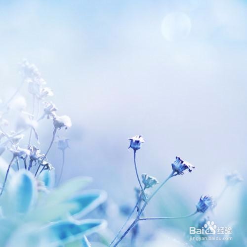 我们应该怎么写好一篇读后感?