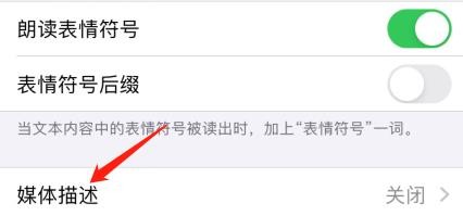 怎么把旁白中的媒体描述改为盲文
