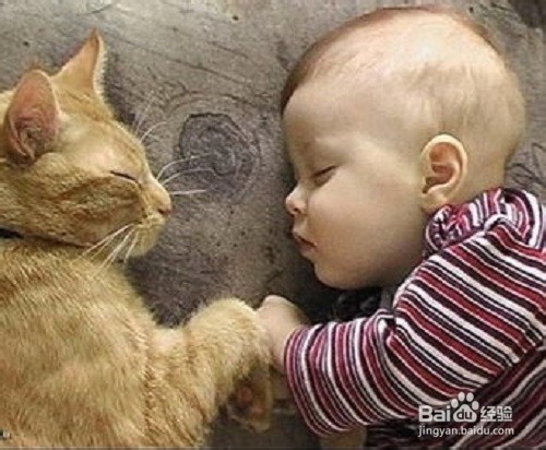 那些应该传授给孩子的道理