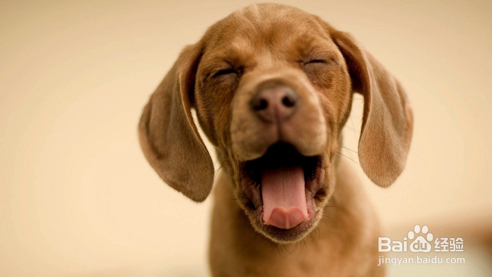 如何玩转天天爱消除