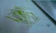 可口的—炝拌干豆腐丝