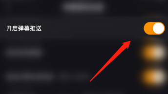 快手直播伴侣弹幕推送怎么打开