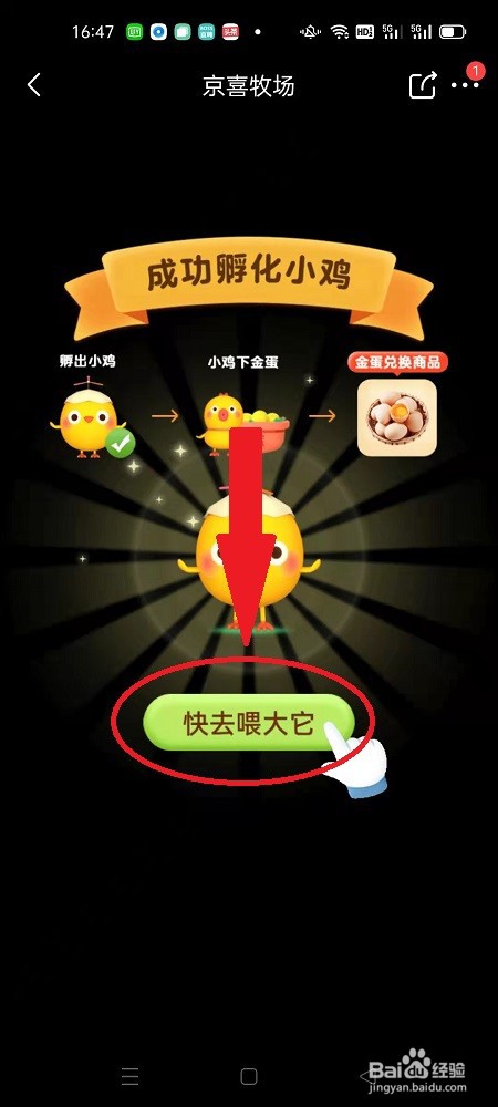 怎么在京喜牧场养鸡