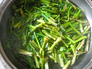 野生水芹炒肉丝