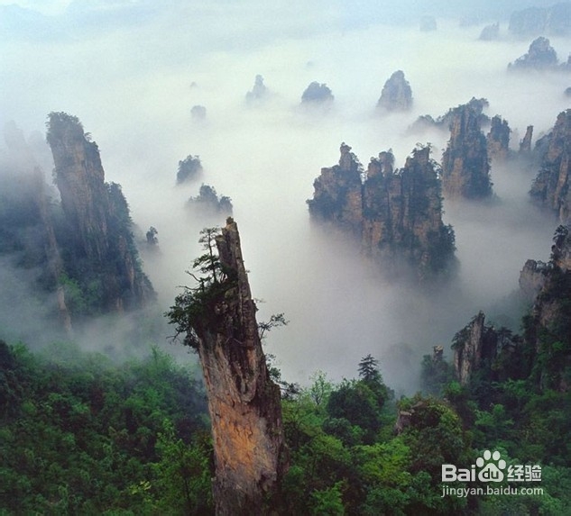 张家界旅游景点介绍（自助版）