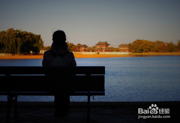 孤独的时候，怎么办