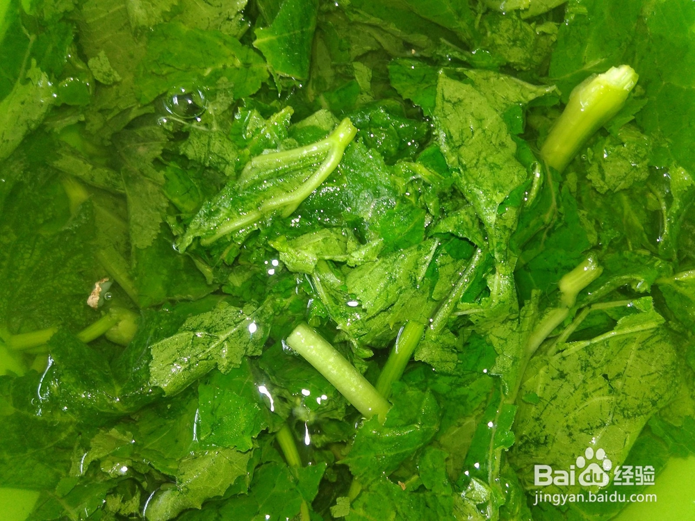 素炒南瓜苗的家常做法