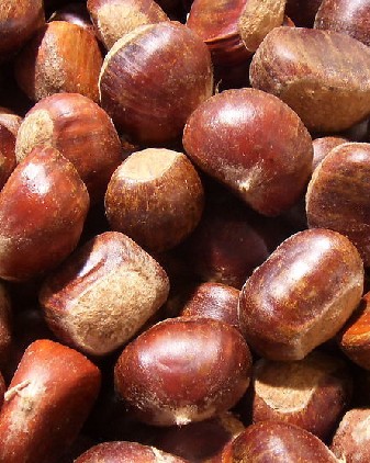 9种坚果类减肥食品