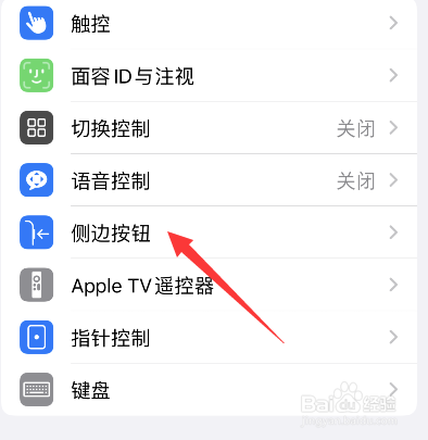 苹果手机侧边按钮怎么设置点按速度