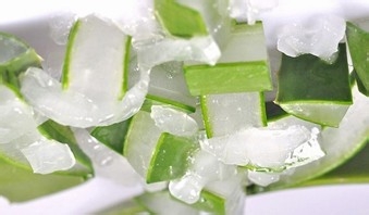 怎么制作芦荟面膜 几种芦荟面膜的做法