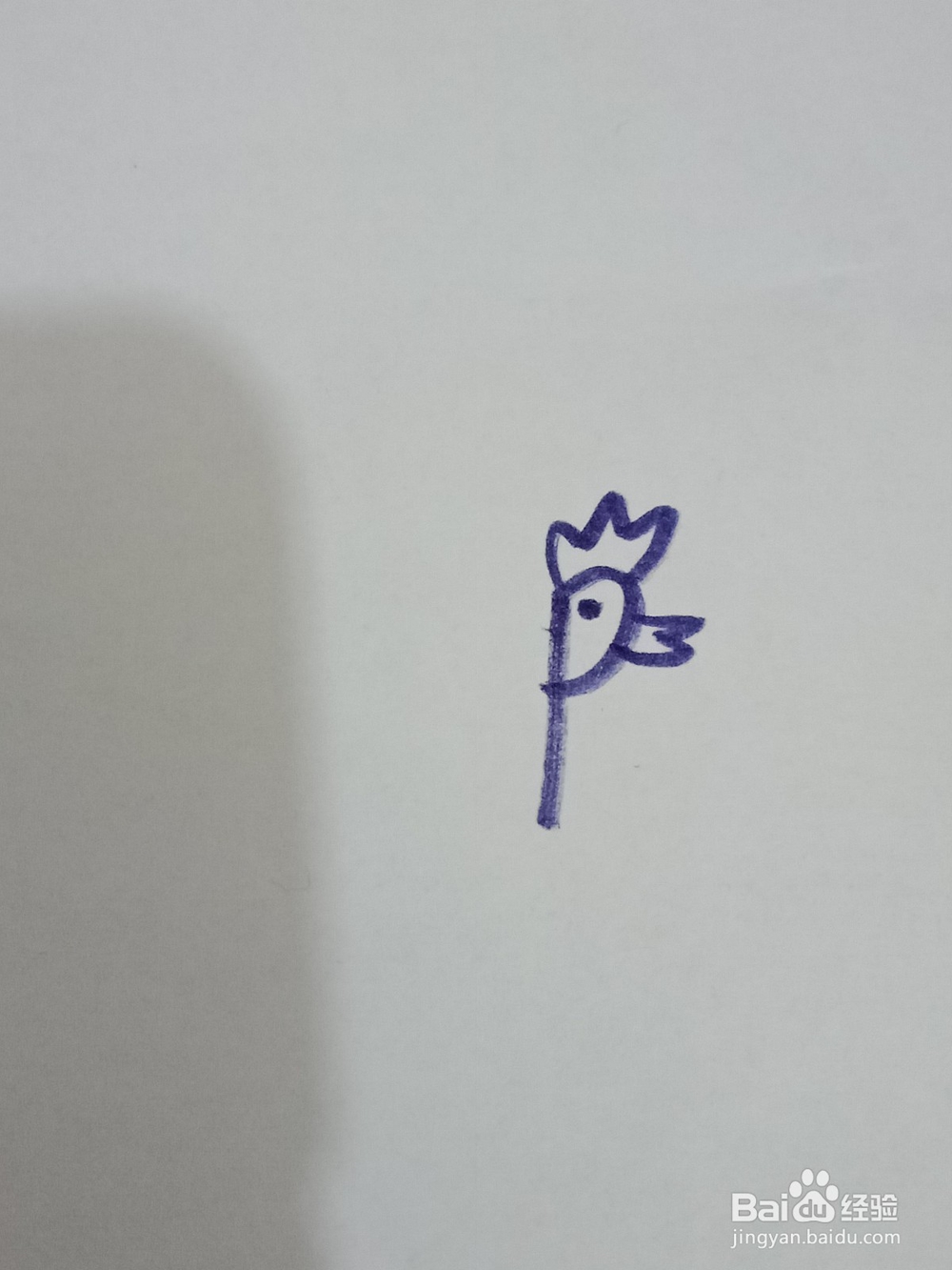 孔雀开屏简笔画