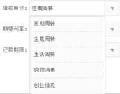 如何选择适合自己的借款项目