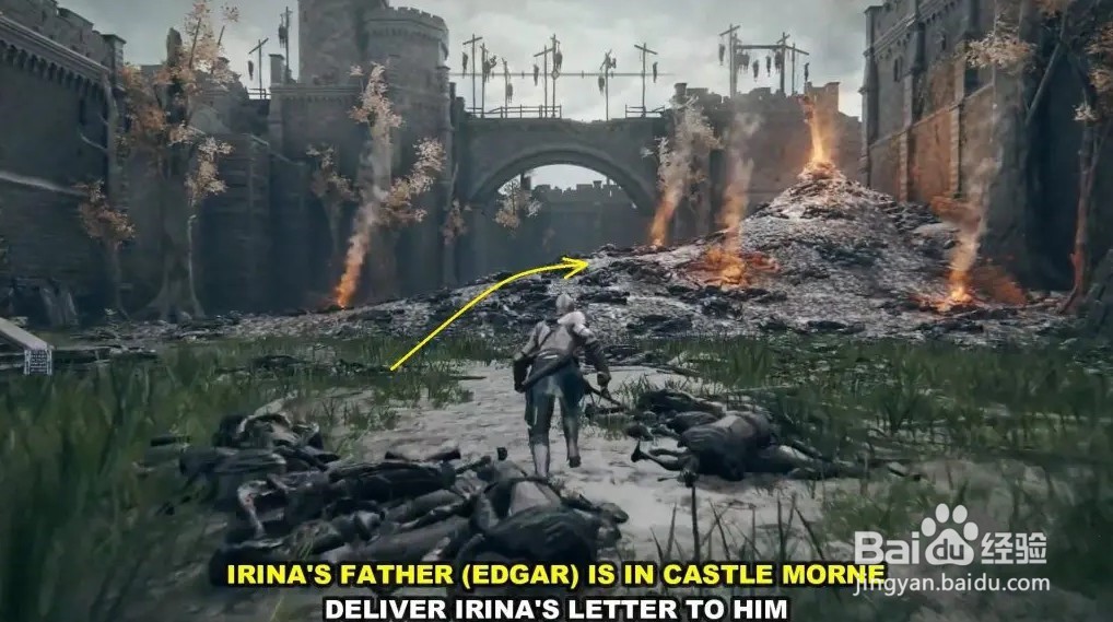 艾尔登法环支线怎么做
