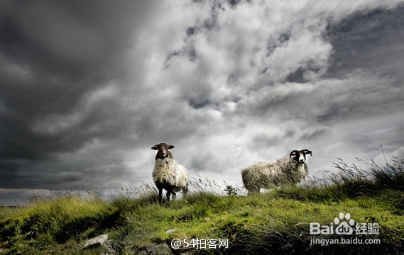 如何提高摄影水平【摄影技巧】