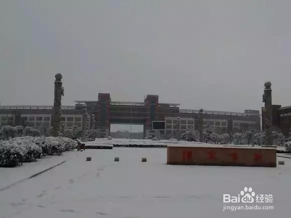 【校园指南】山东科技大学天气应对篇