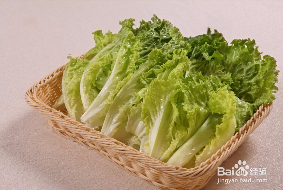 阳台怎么种生菜？