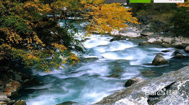 何谓开放教学观念