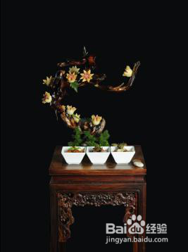 去子非必吃的美食有哪些呢?