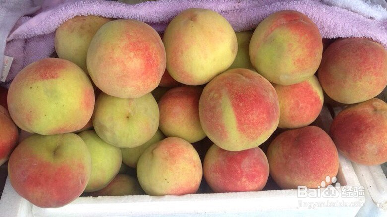 仙桃莫吉托怎么做