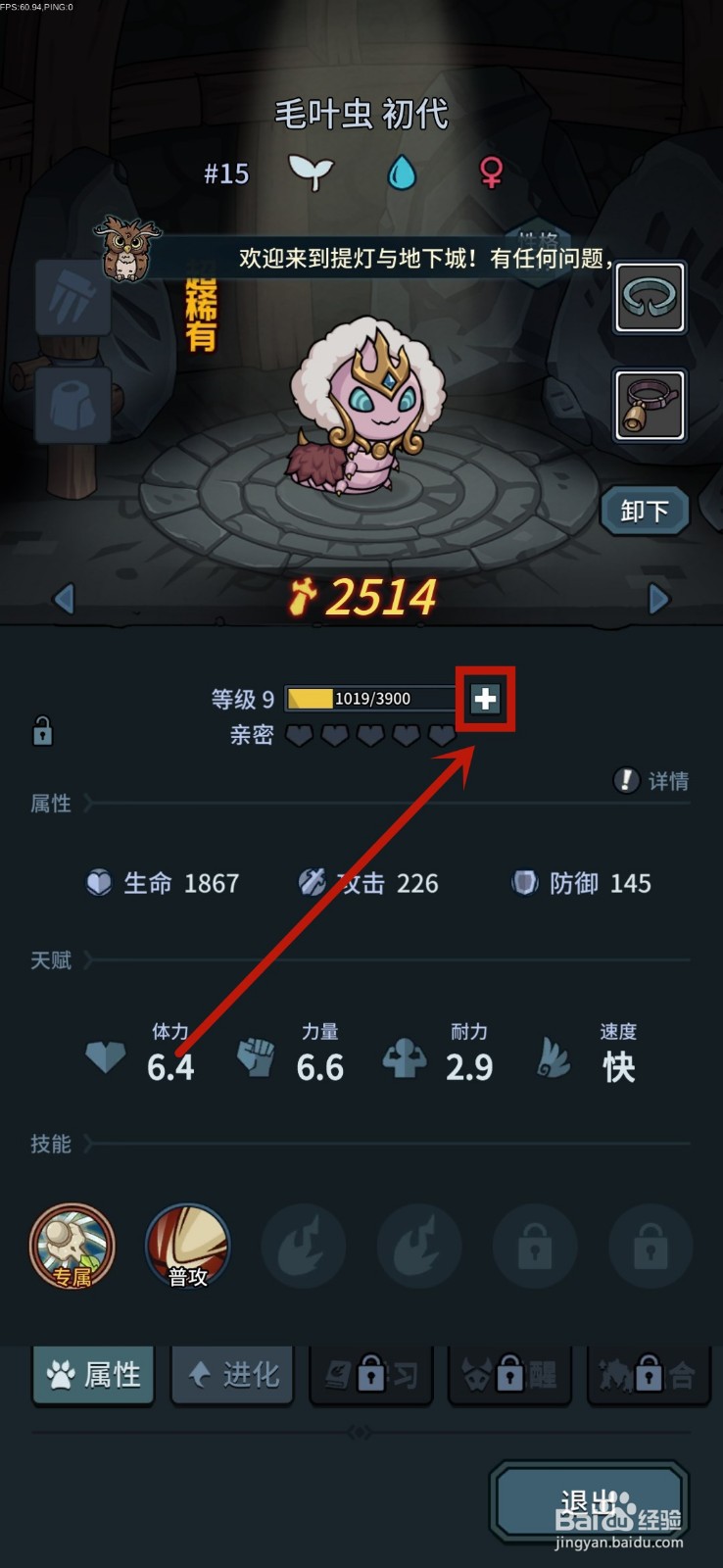 提灯与地下城怎么快速提升宠物等级