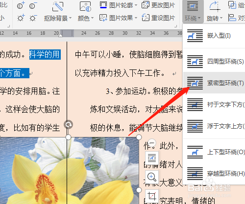 wps2019 第八课 文档中如何插入图片