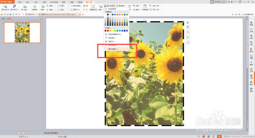 PPT插入图片时给图片加轮廓描边颜色