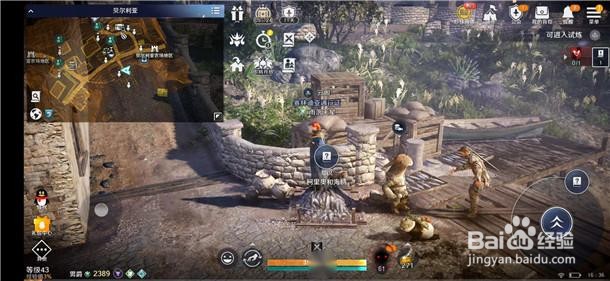 黑色沙漠柯里奥与海鸥知识攻略