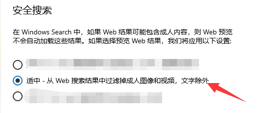 从web文件中适中滤成人文字怎么设置