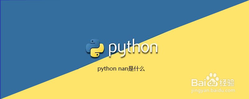什么是Python Nan