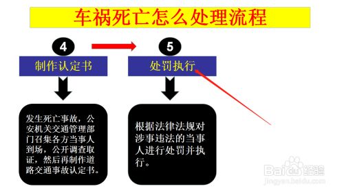 车祸死亡怎么处理流程 百度经验