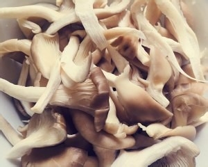如何做秀珍菇炒肉丝