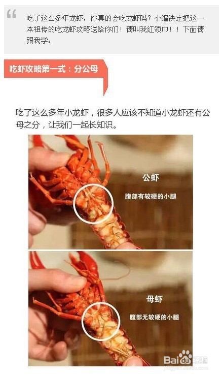 吃小龙虾的攻略