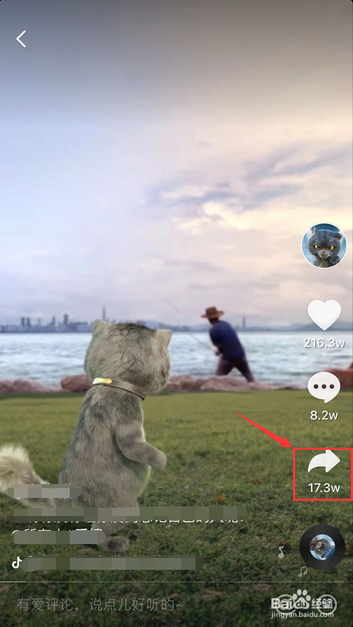 苹果怎么设置动态壁纸