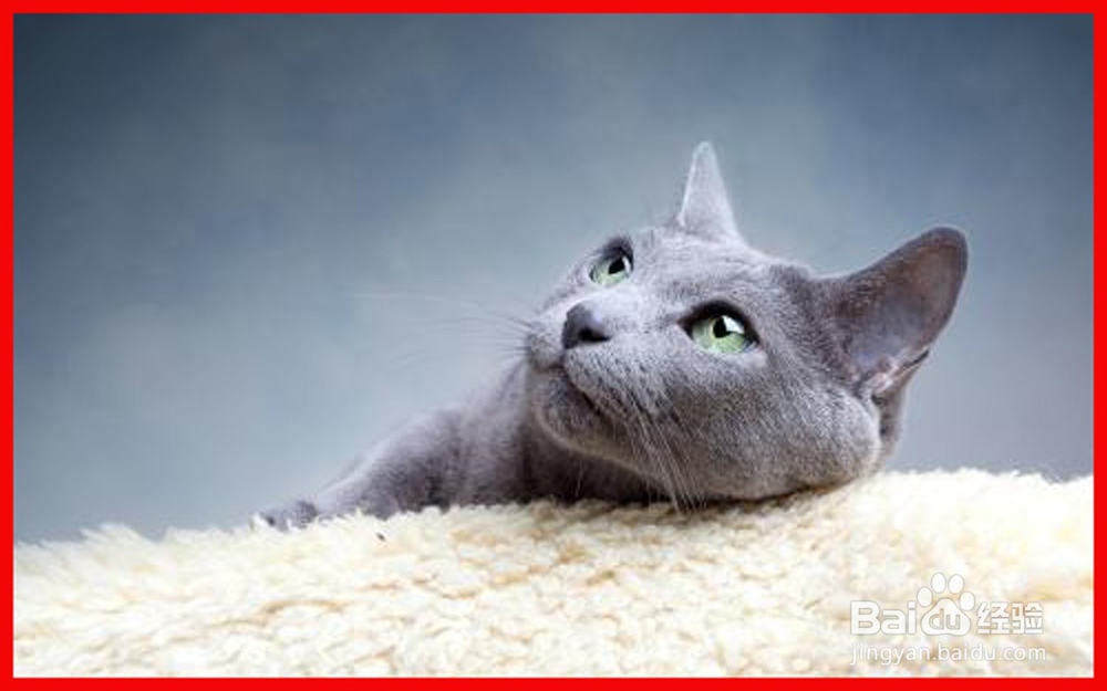 改变抱怨的思想