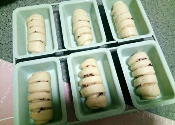 #美的FUN烤箱·焙有FUN儿#椰蓉蔓越莓潜水艇餐包