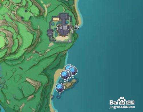 原神鸣神岛海灵芝分布位置