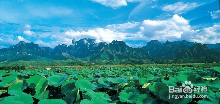 全国自驾车到张家界旅游线路图