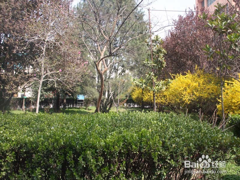 如何科学有效预防颈椎病