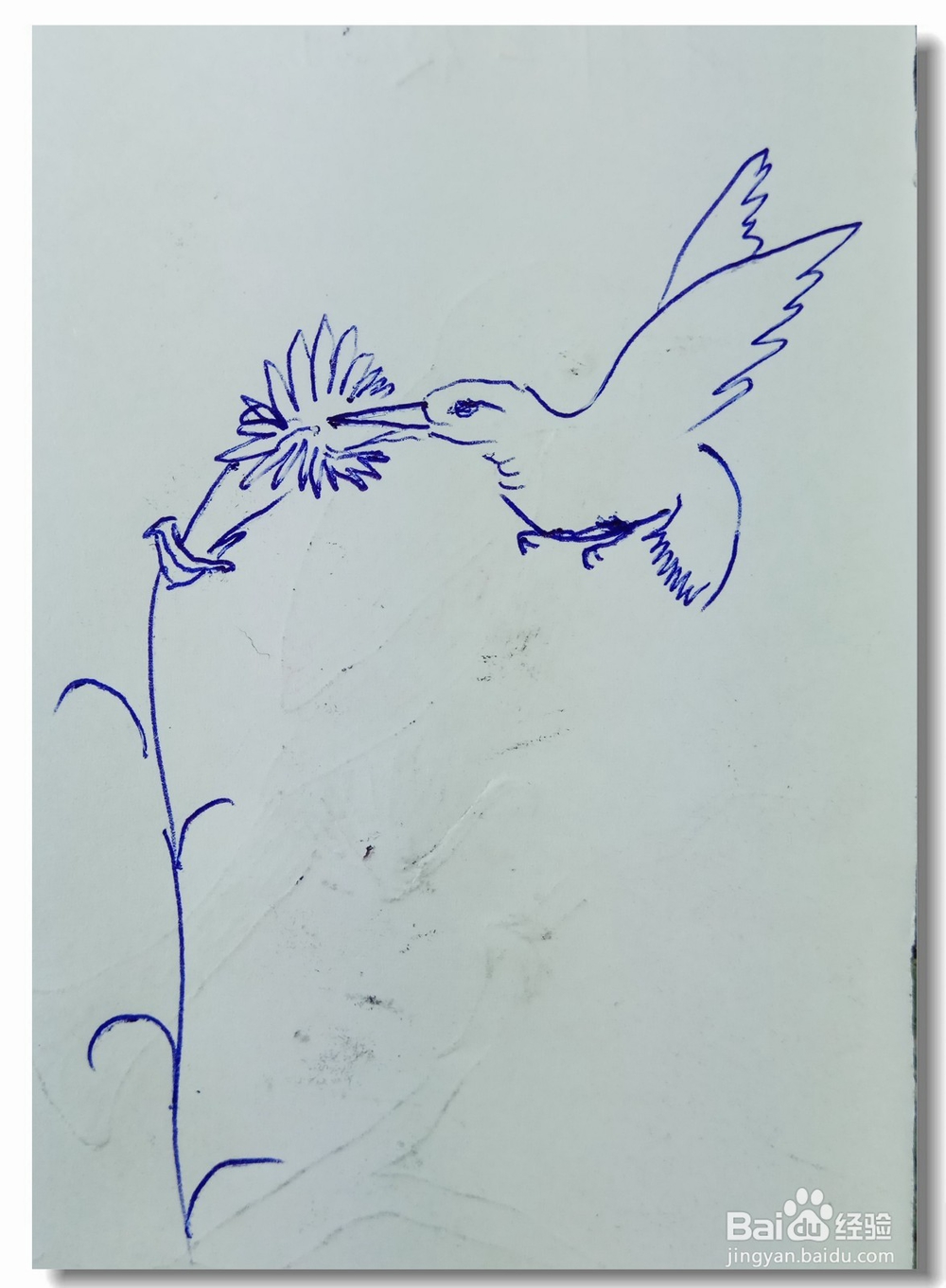 怎样画简笔画“鸟衔花”