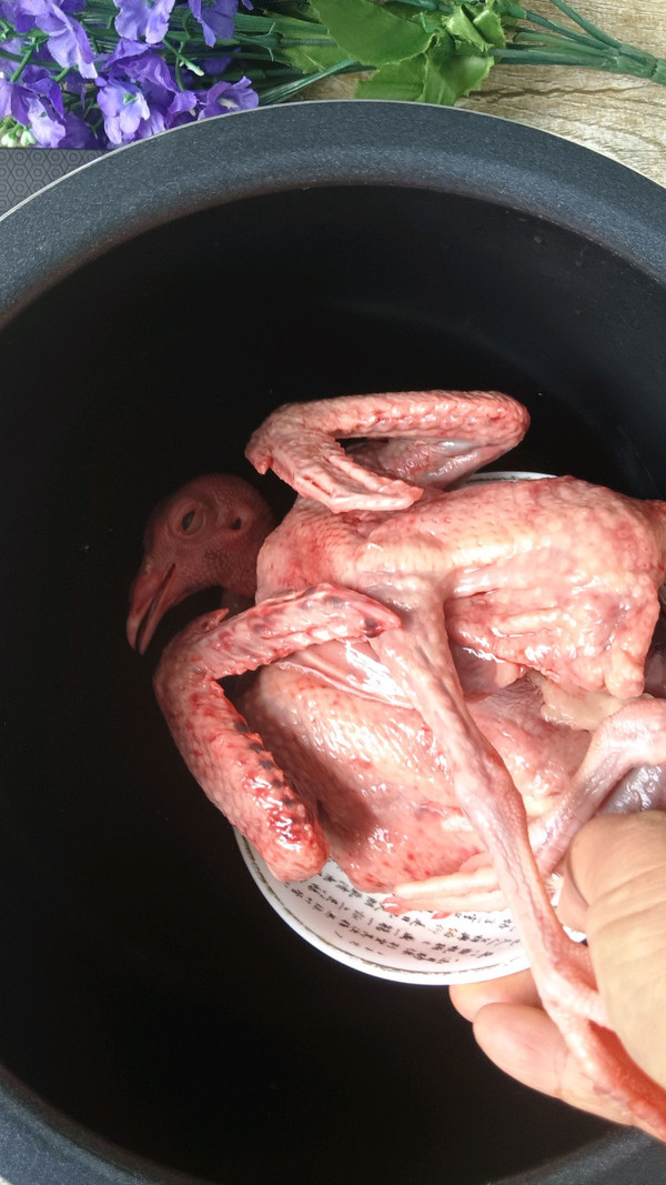 阿胶药膳炖鸽子