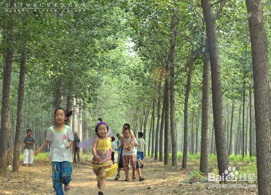 如何让孩子提高兴趣？—乡村生活体验游学（2）