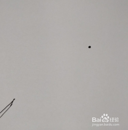 用秋天的叶子做手工