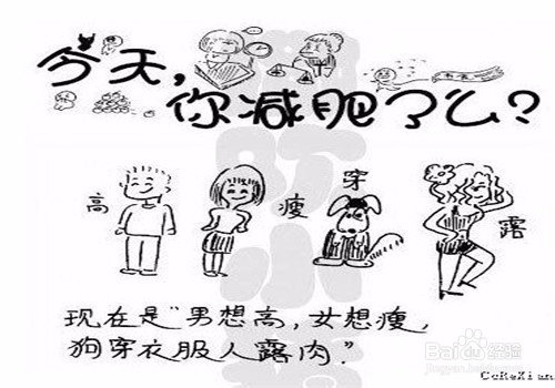 减肥必须要知道的六件事