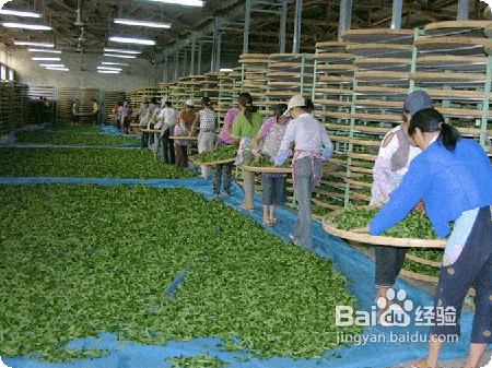 铁观音茶叶手枕腕枕的制作方法