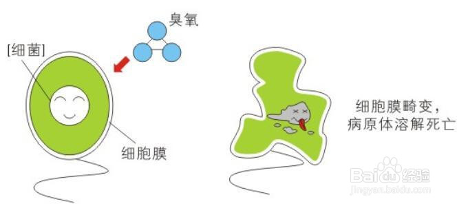 臭氧消毒优点