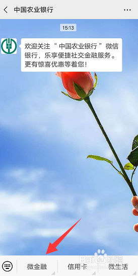 怎么查询银行卡开户行网点