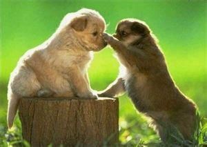 夫妻如何相处的和谐融洽