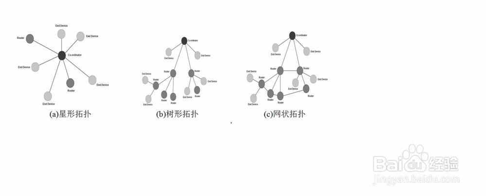 如何让word中插入的彩色图片变黑白