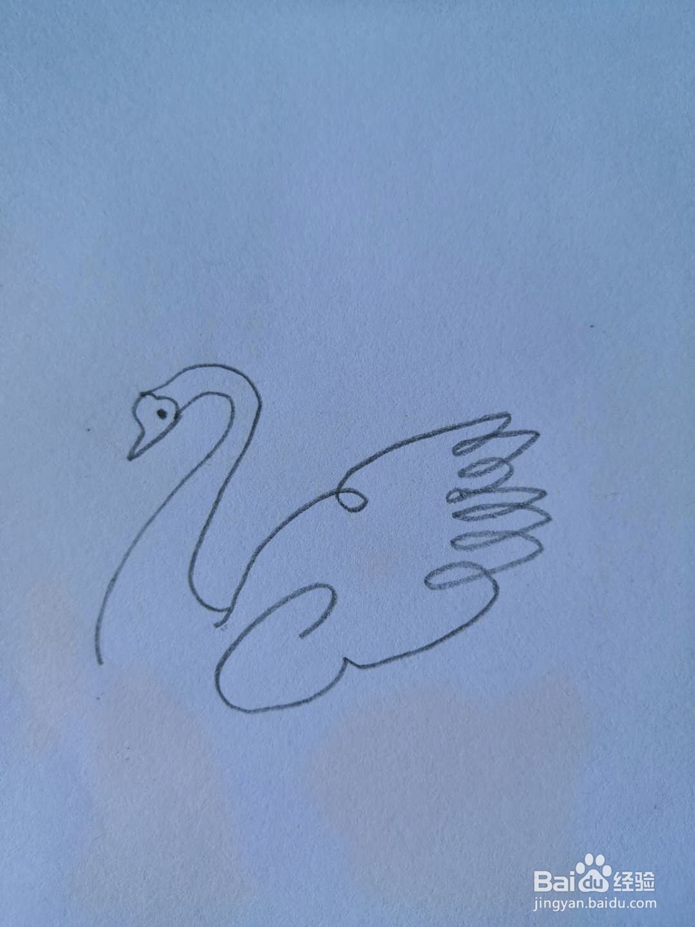 如何画天鹅简笔画